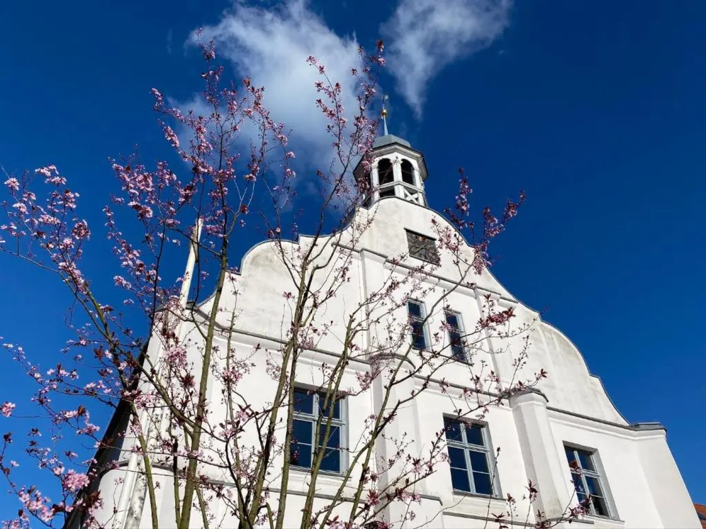 UsedomTor 1720 FeWo I