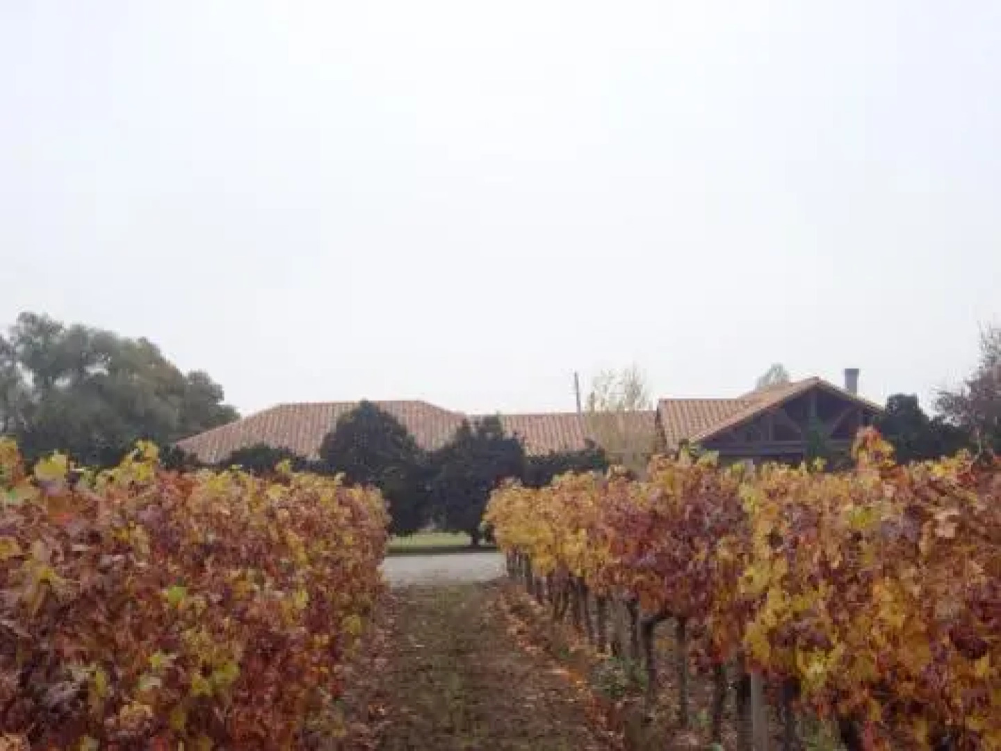 Santa Filomena de Cunaco