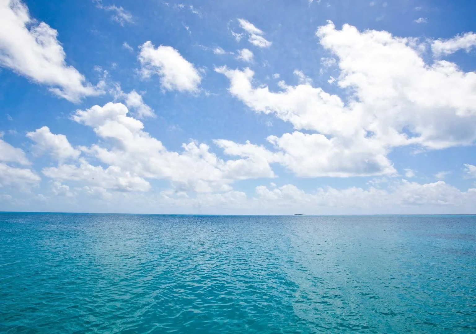 Tikehau Bed and Breakfast