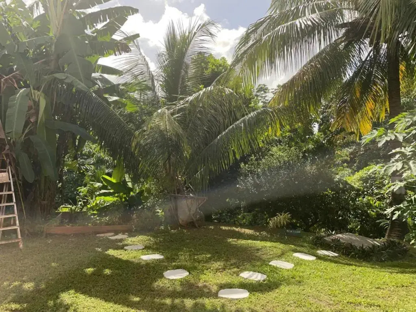 Bel appartement dans écrin de verdure