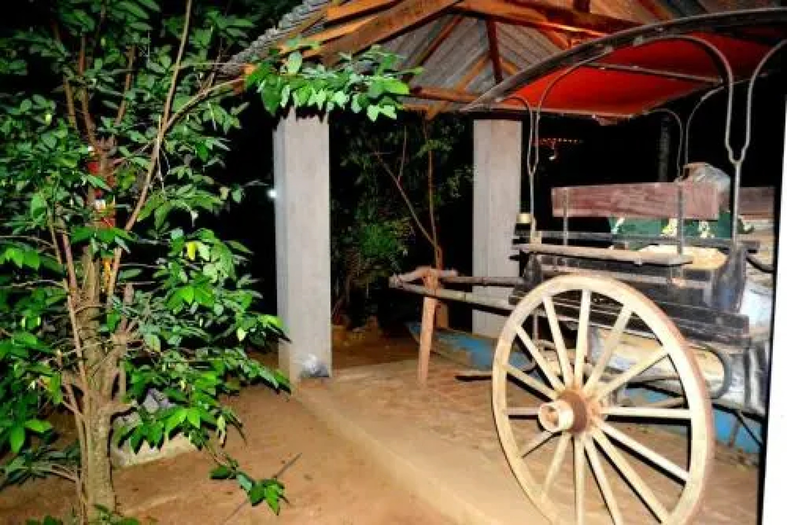 Dark Horse Resort Yala