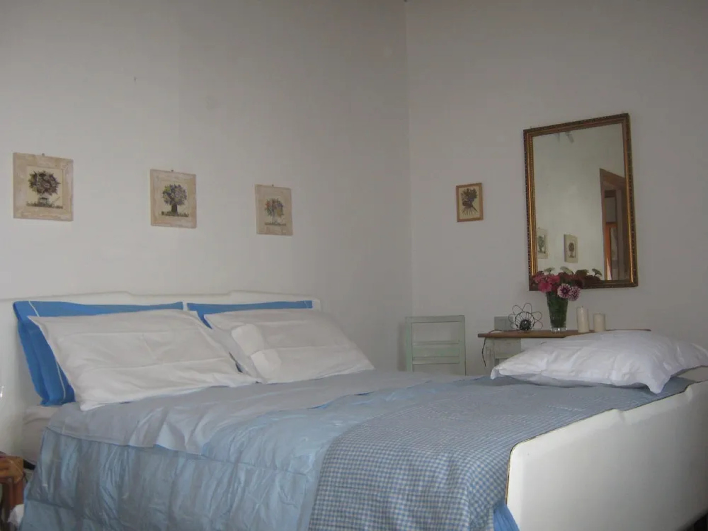 Agriturismo il Poderino