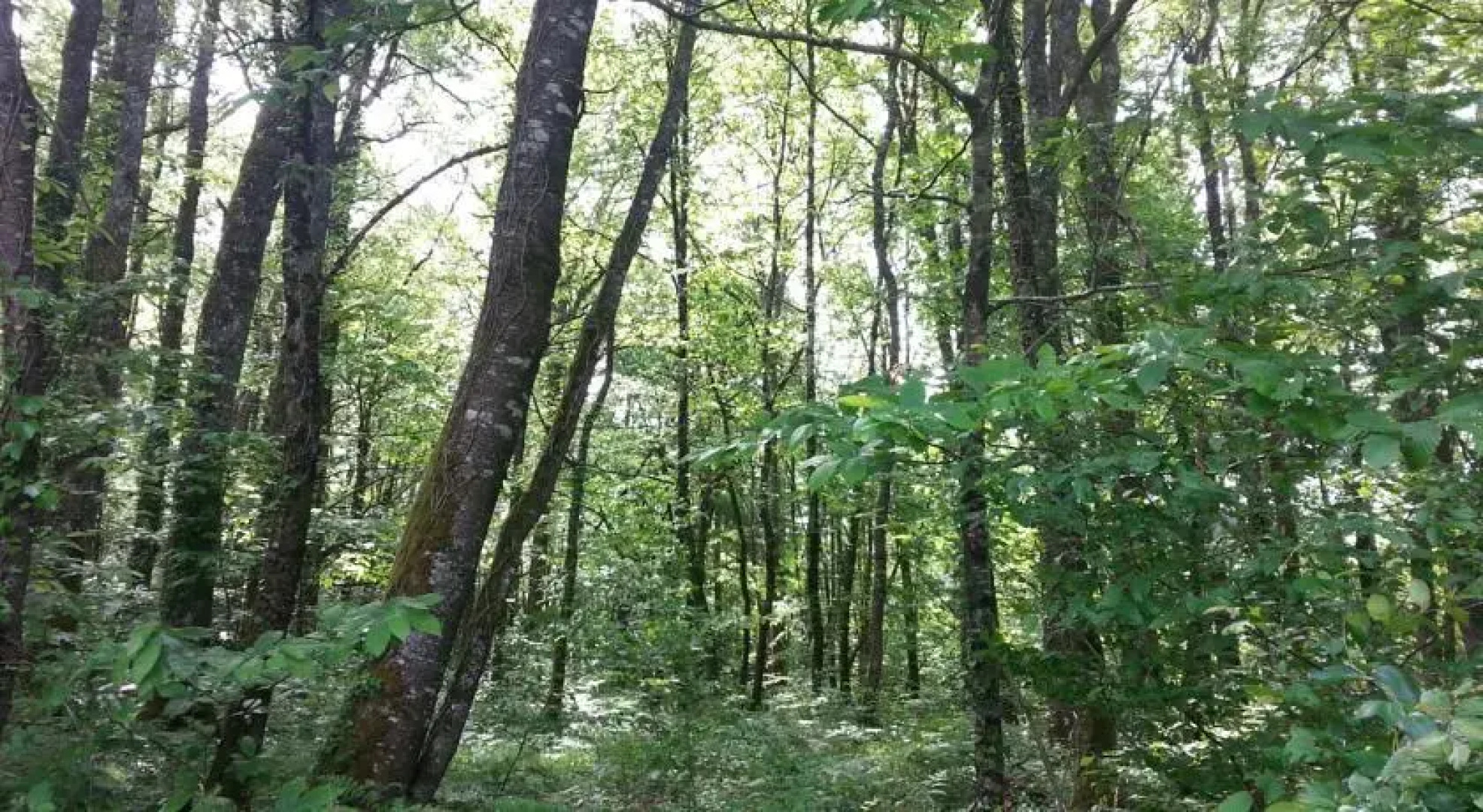Farmstay Alpagâterie