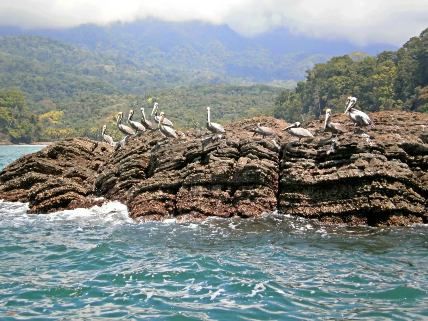 Cristal Ballena Boutique Hotel & Spa