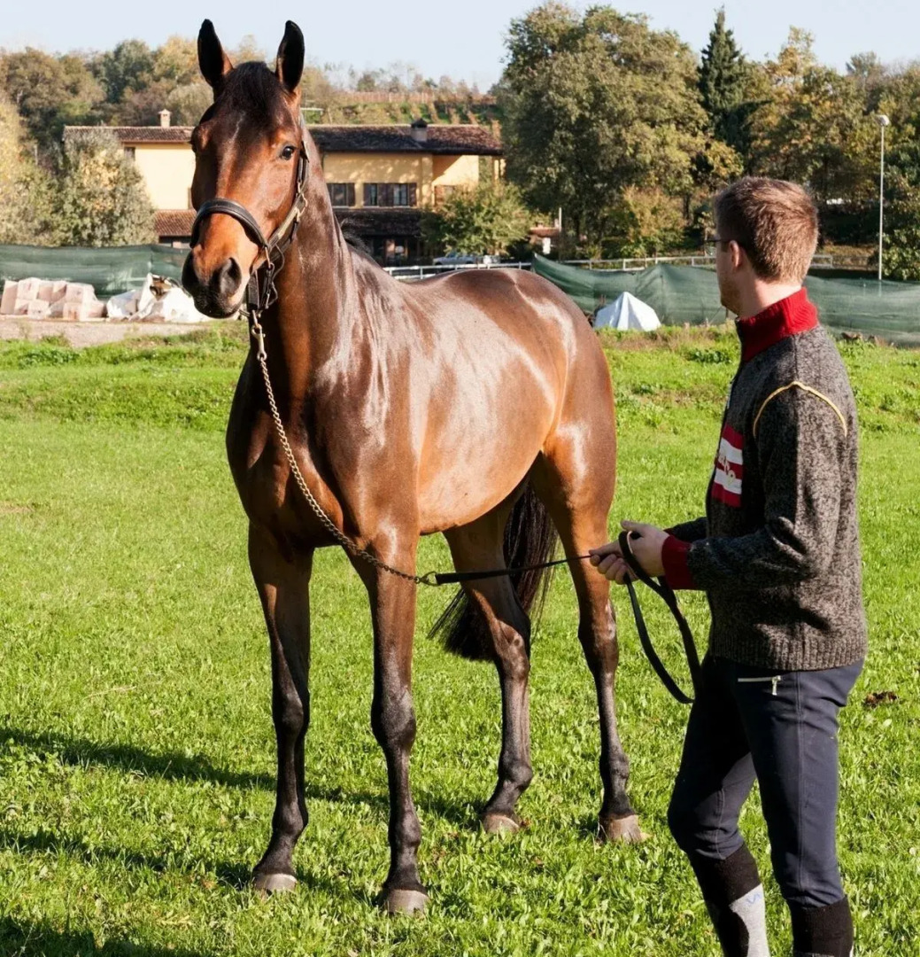 Agriturismo Tenuta Le Sorgive