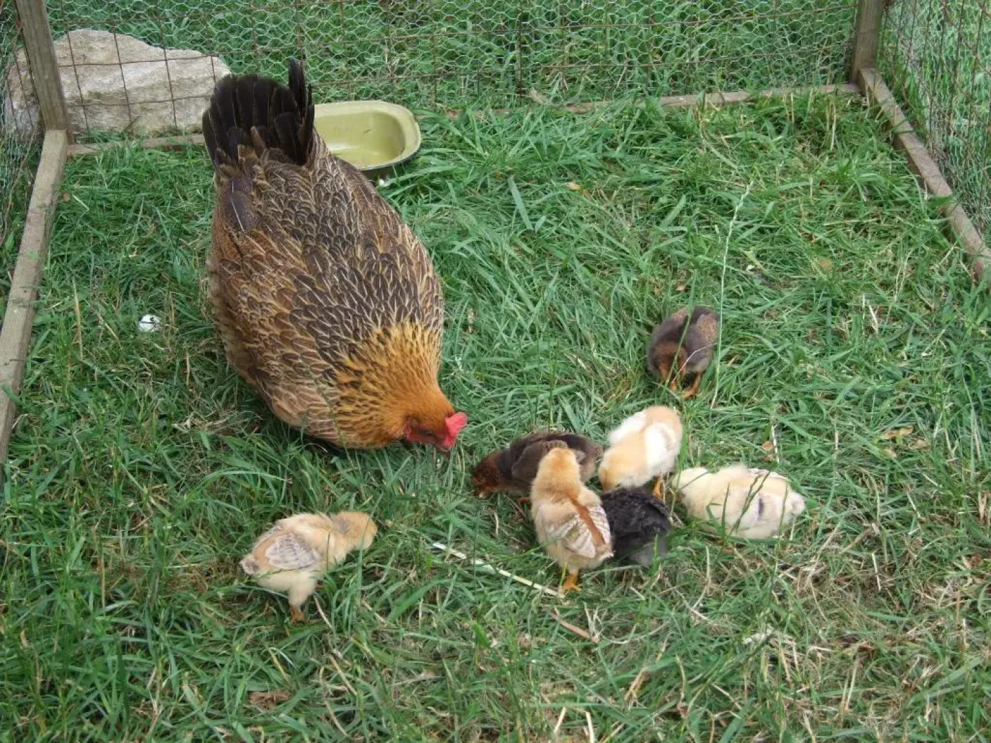 Moulin de la Fosse Soucy