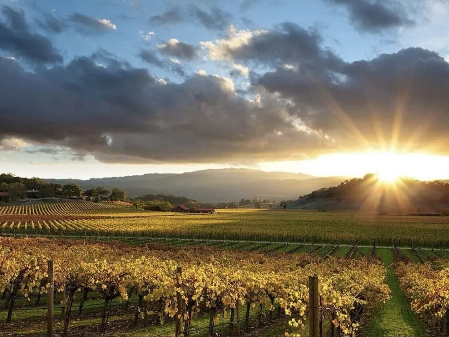 California Villas y Hotel