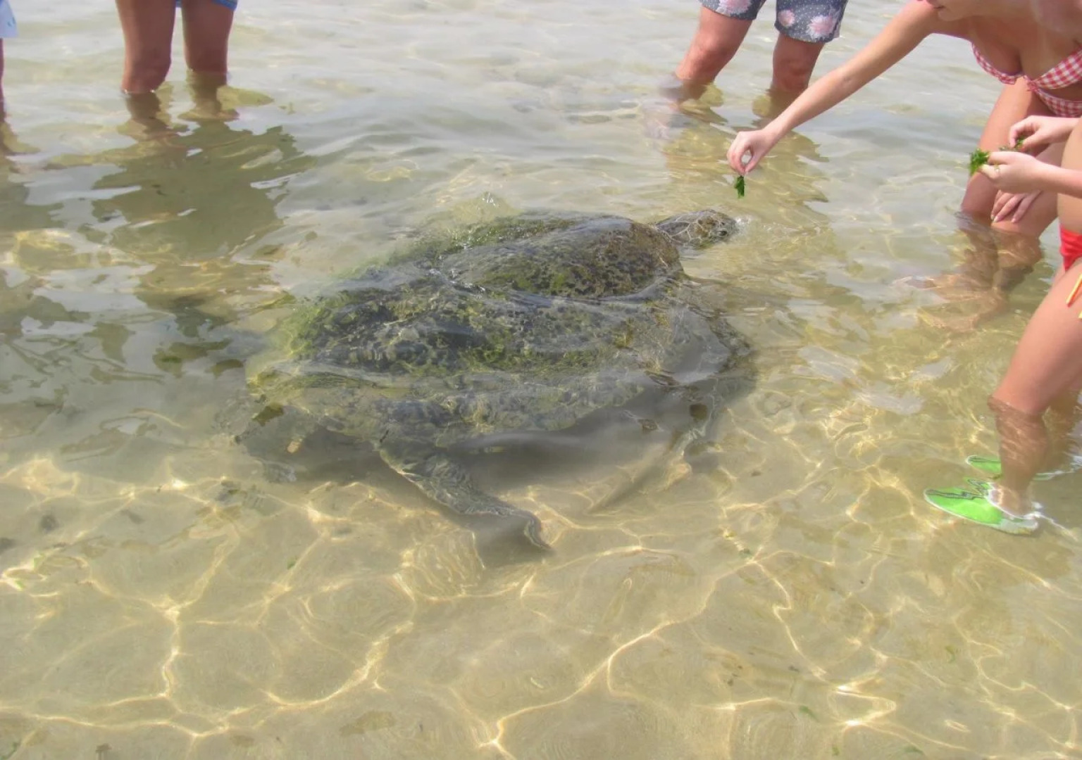 Raveena Home stay kumarakanda