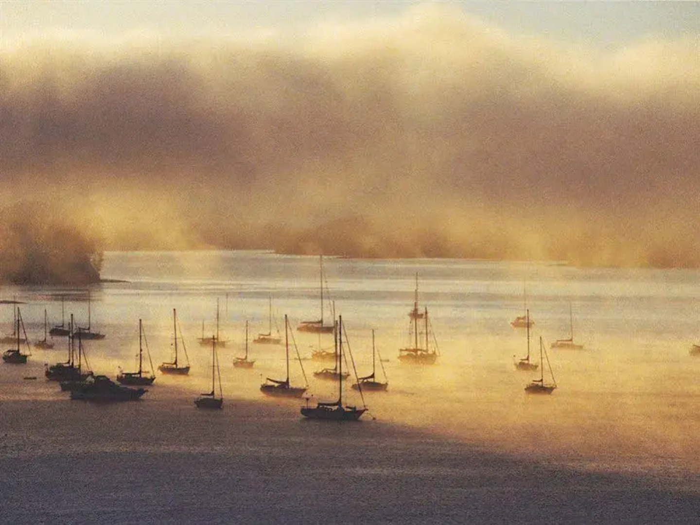 Cliff Edge by the Sea