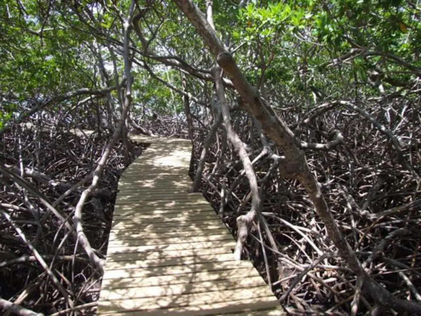 Studio BELO HORIZONTE, Grande terrasse avec vue sur les Pitons