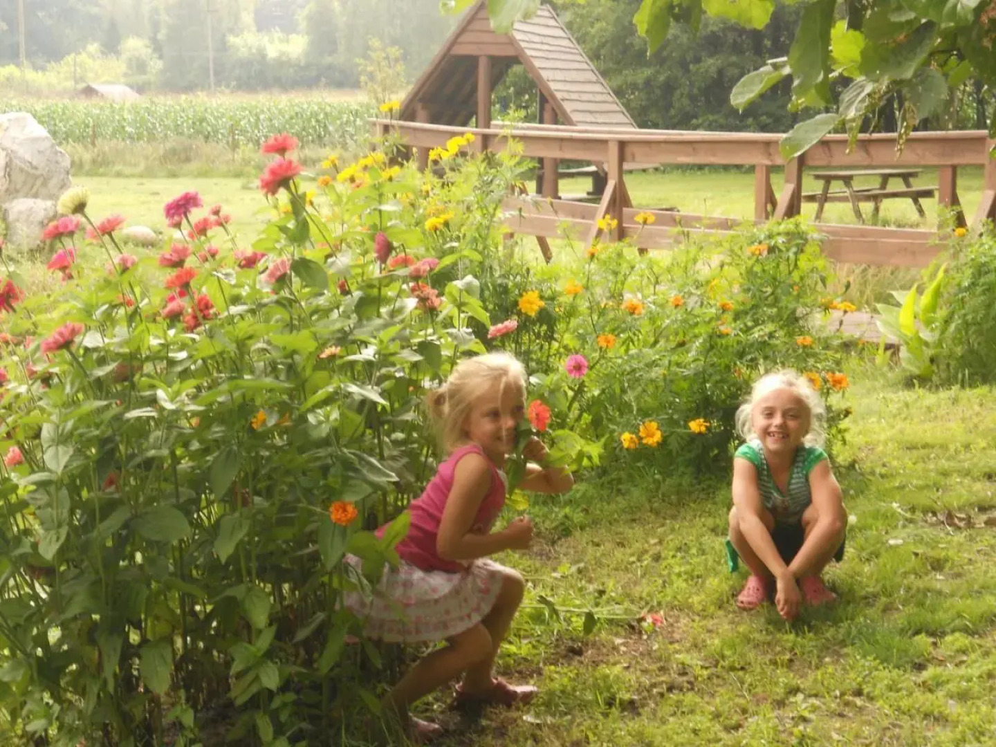 Agroturystyka Borówka