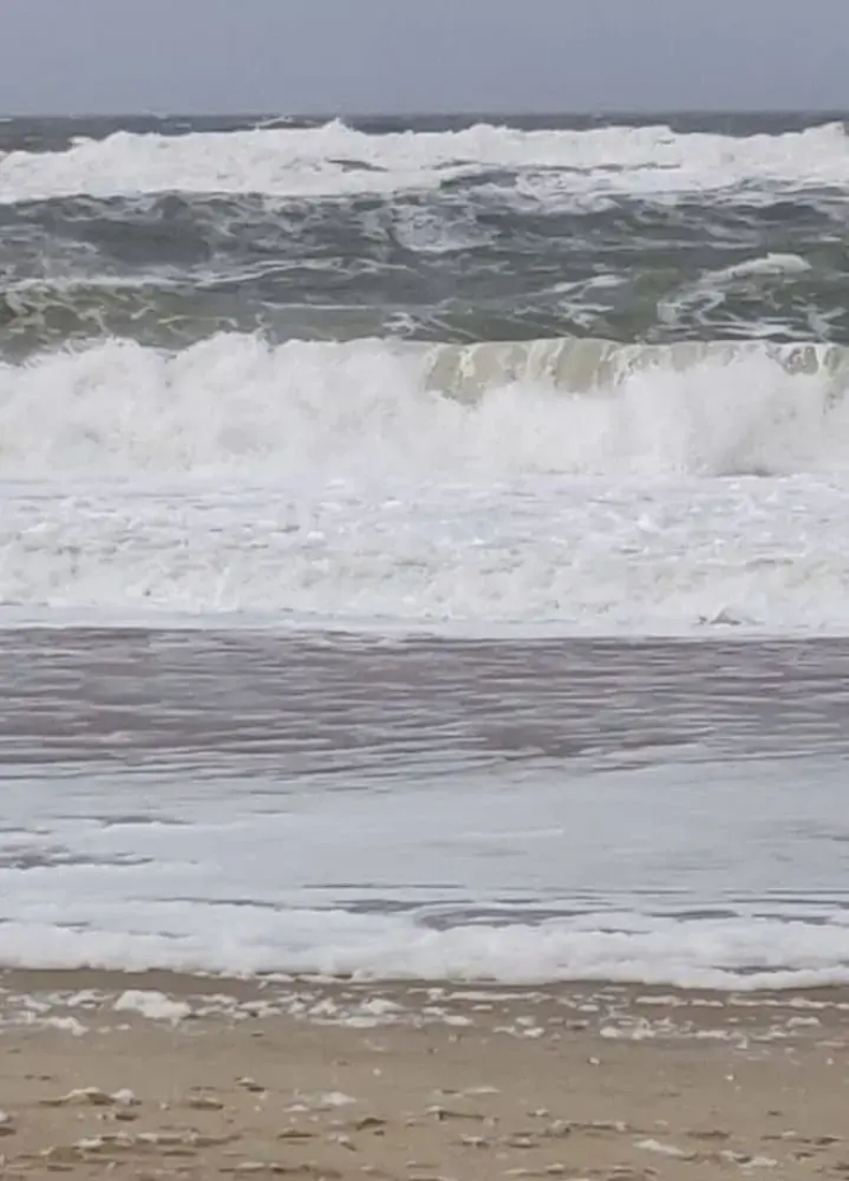 D Wilting in the House