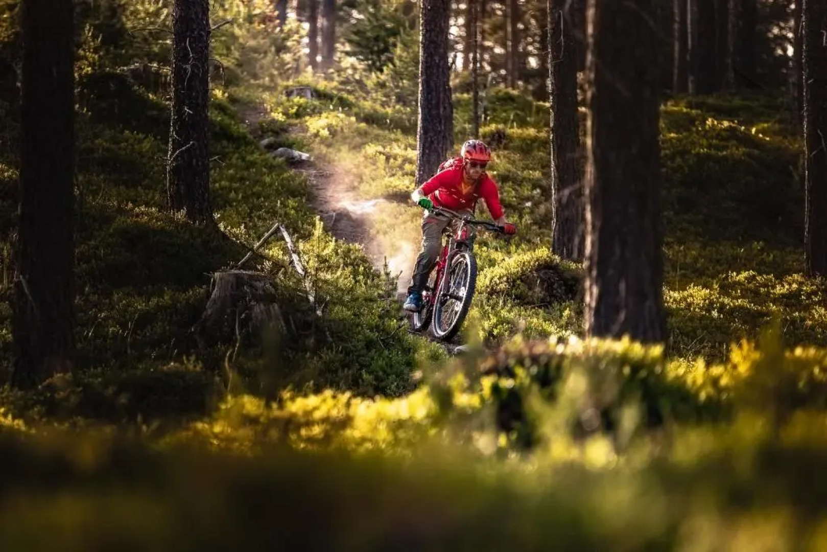 Rolfhytta - Fosskamben 19