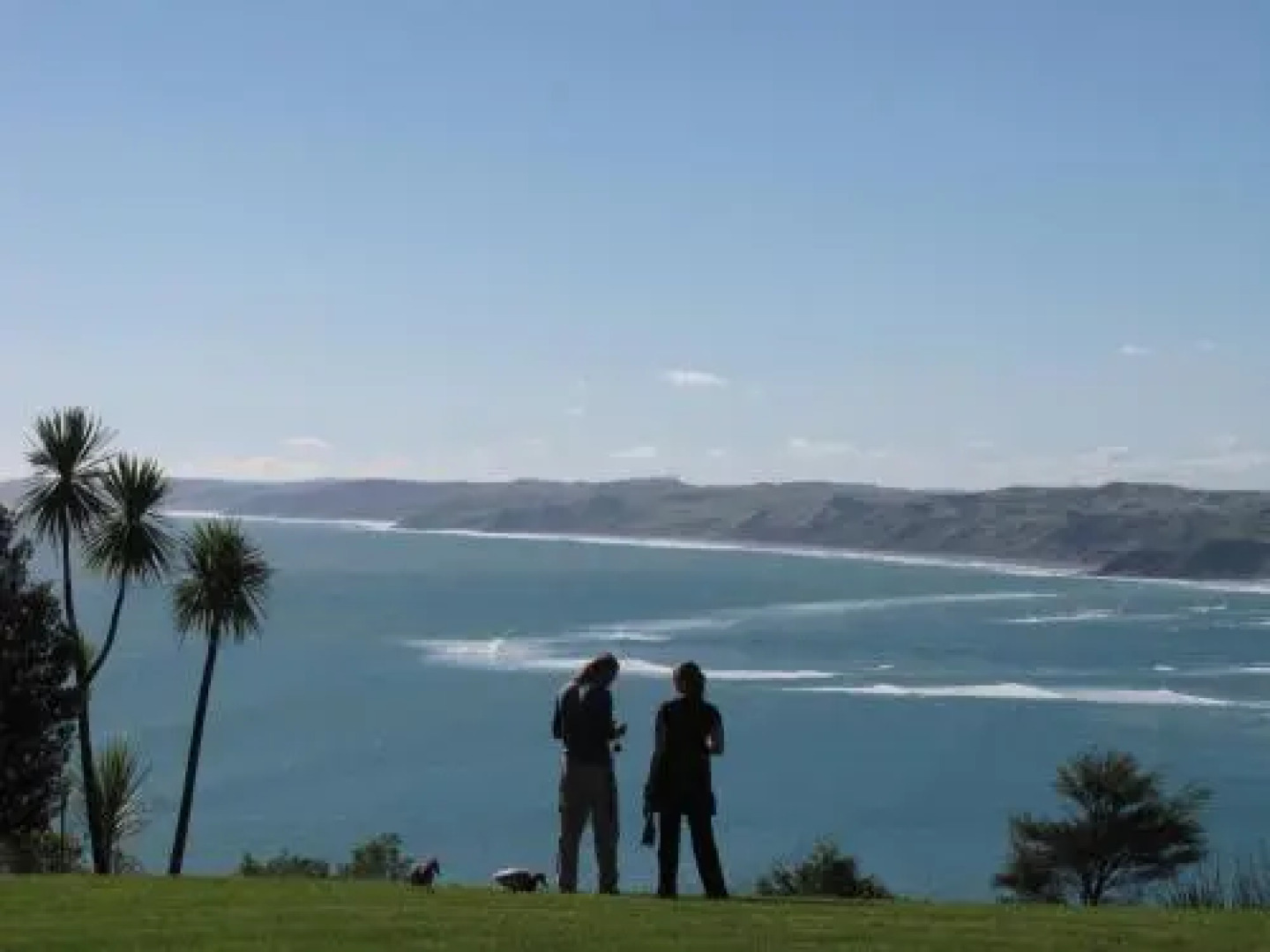 Longitude Apartments