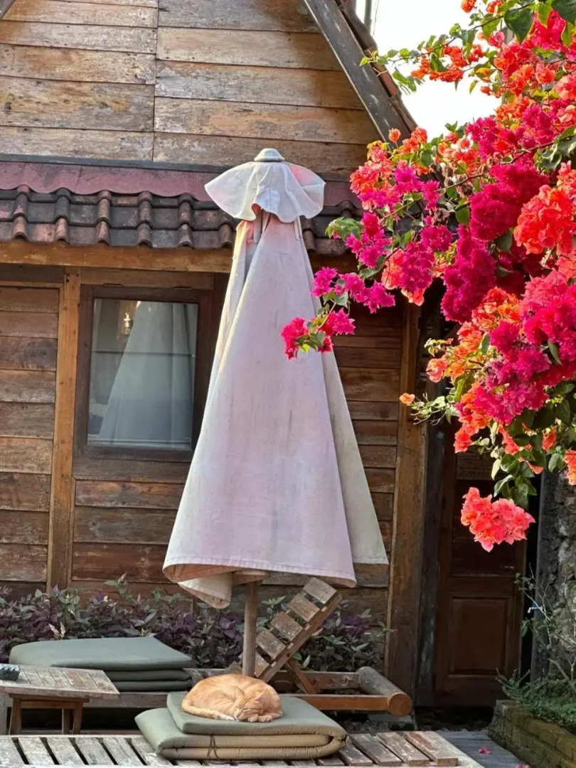 PINOKKIO B&B Restaurant