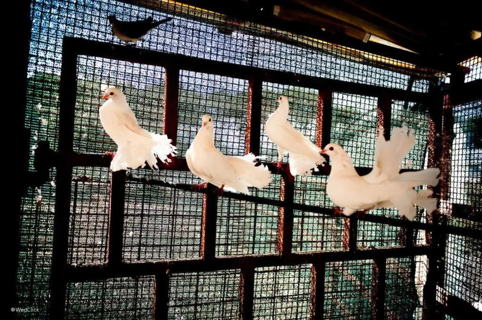 Agriturismo La Meridiana