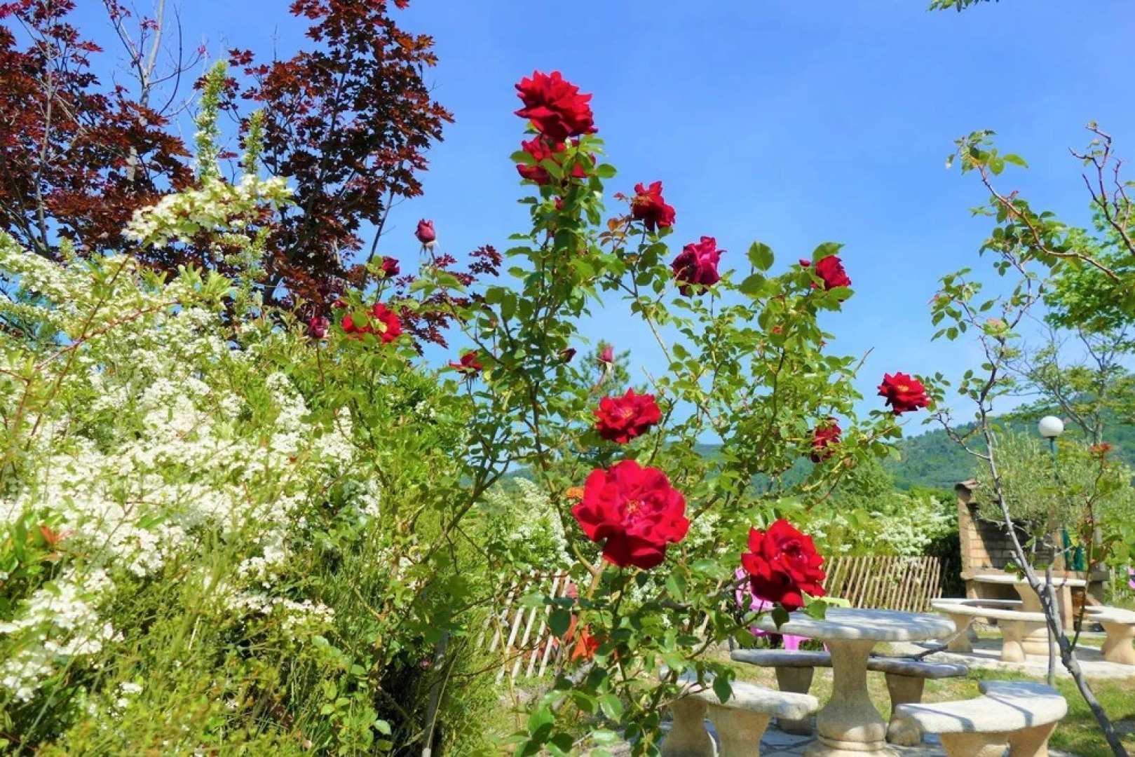 Camping Le Vieux Colombier