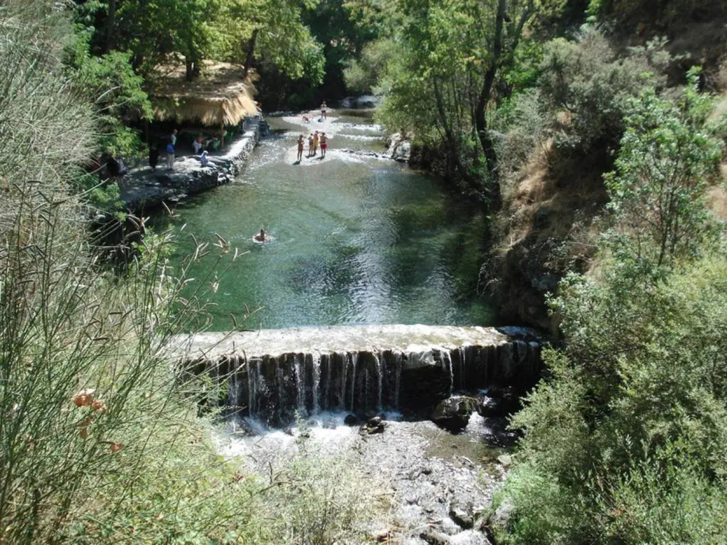 Encinar de Aguas Blancas