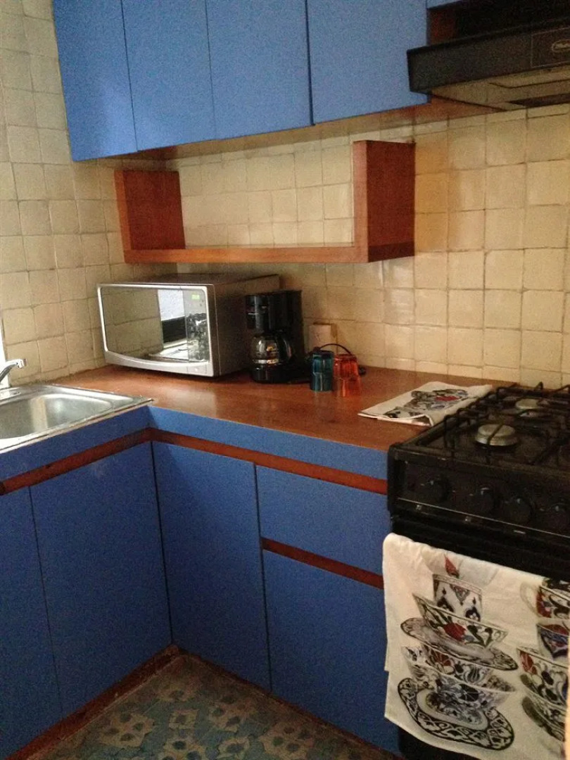 Pug Seal B&B Coyoacan