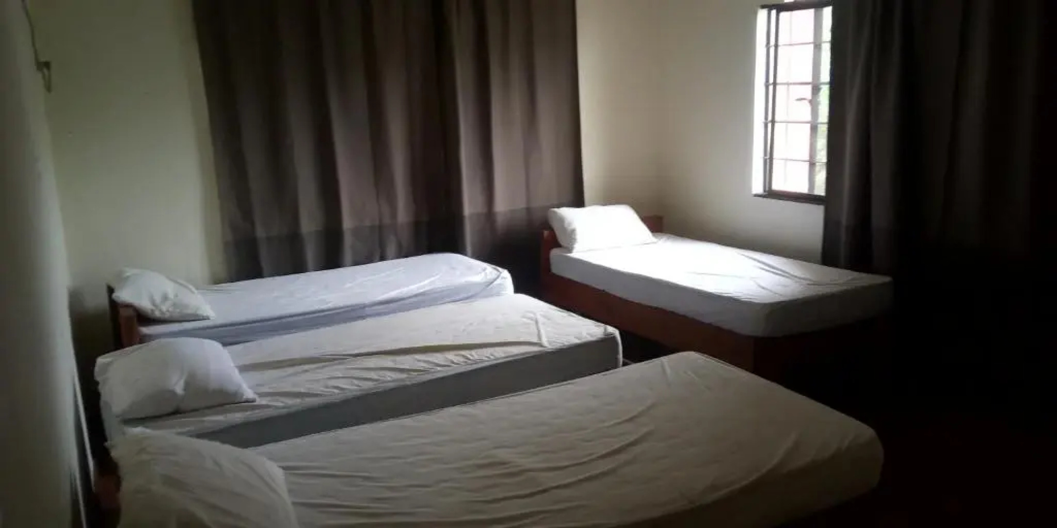 Screaming Gecko Hostel Air-Con