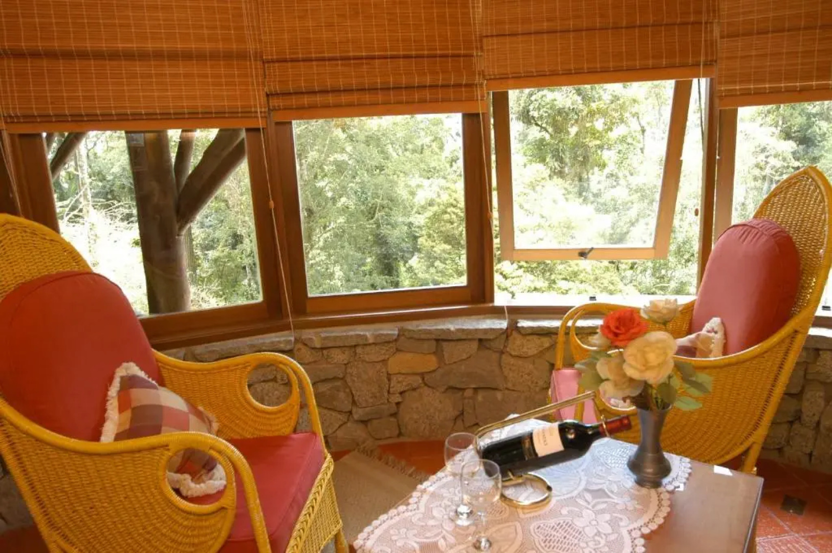 Bromelia Sabia & Cia