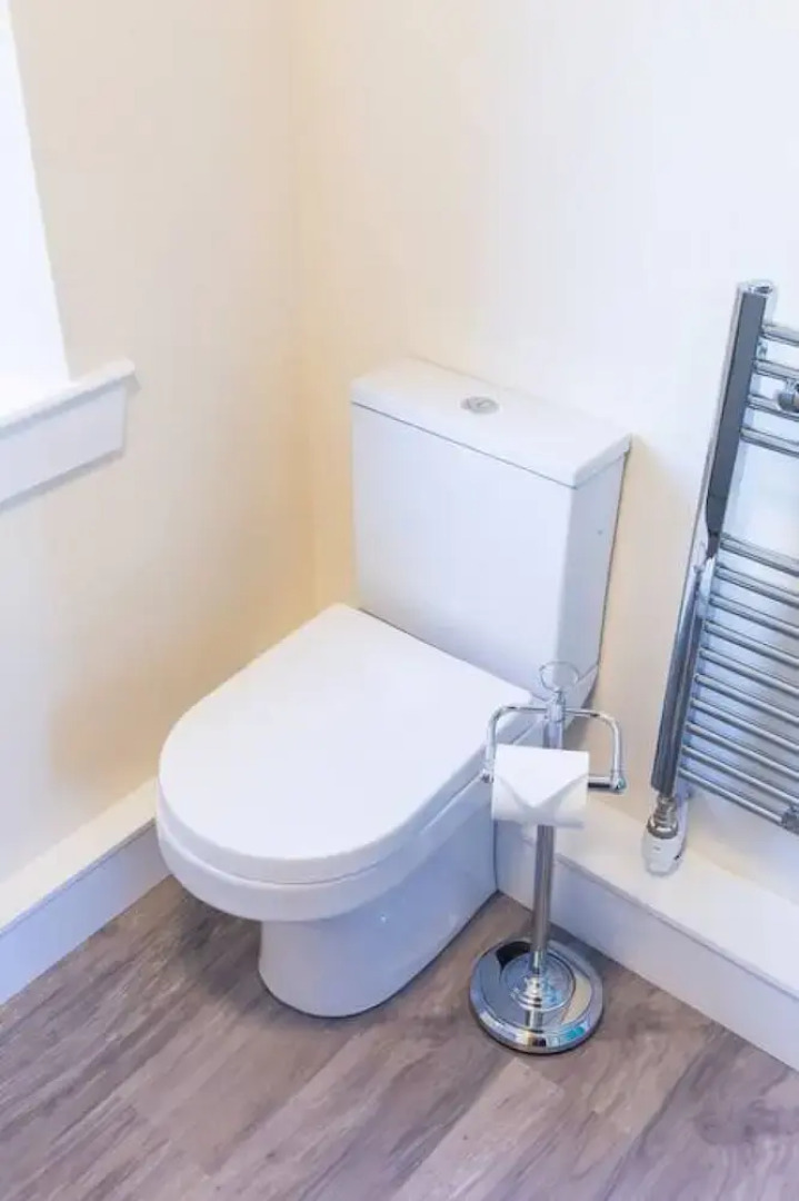 The Albatross - Everything s Above Par