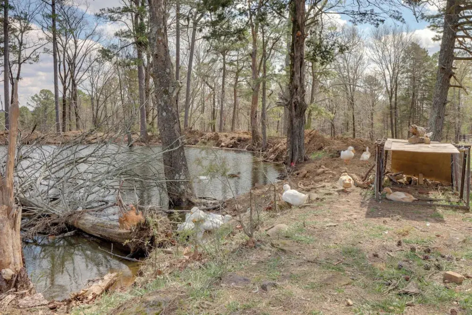 Mountain Views + Shared Pool: Ozarks Family Home