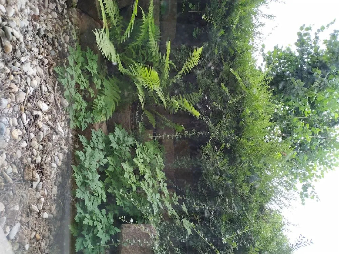 DEVA Aparthotel Egger