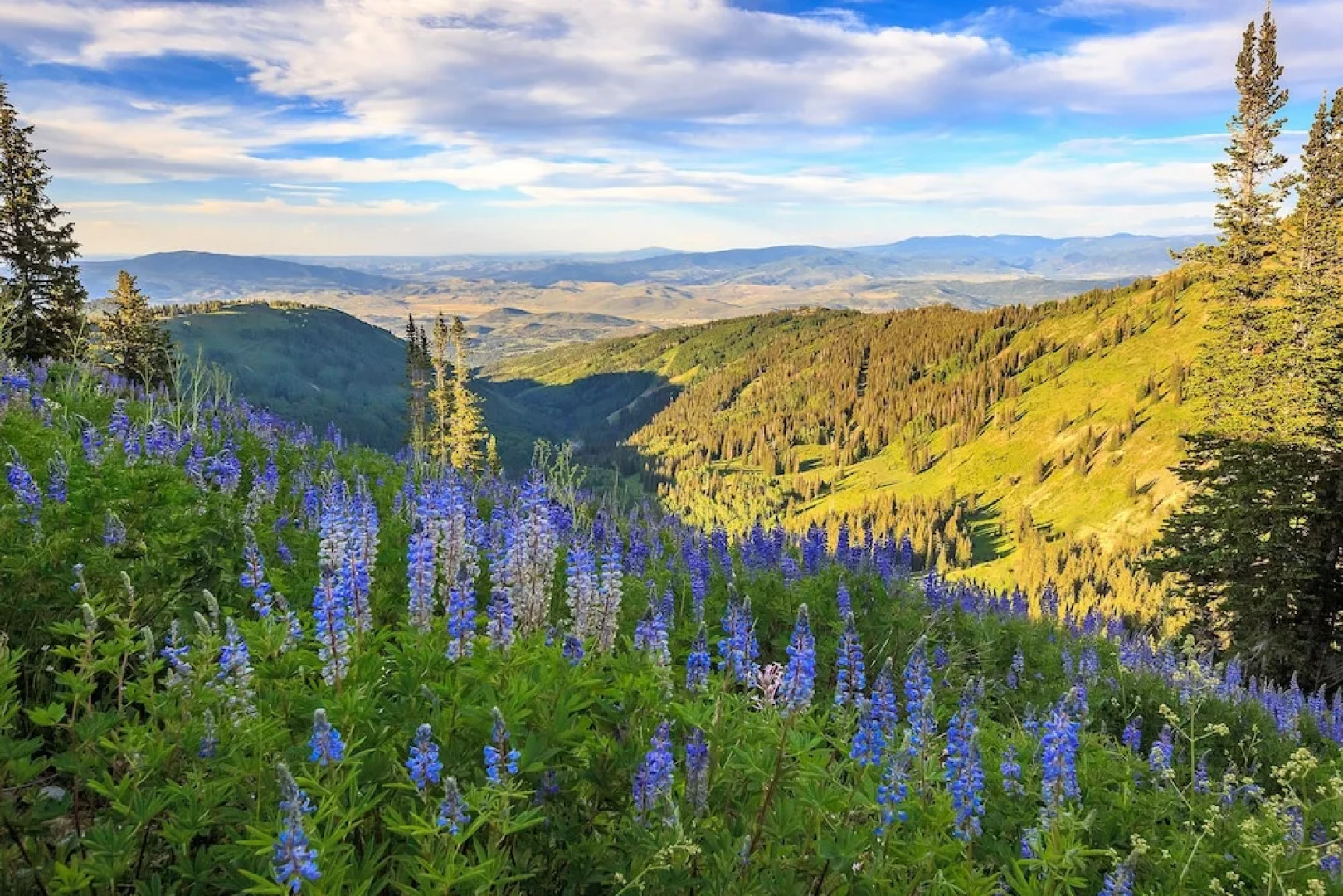 Near Gondola! Cozy Ski W/ Resort Amenities 1 Bedroom Condo