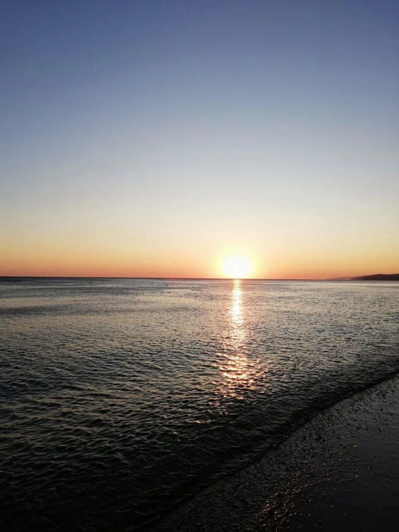 Forest Club (Форест Клаб)