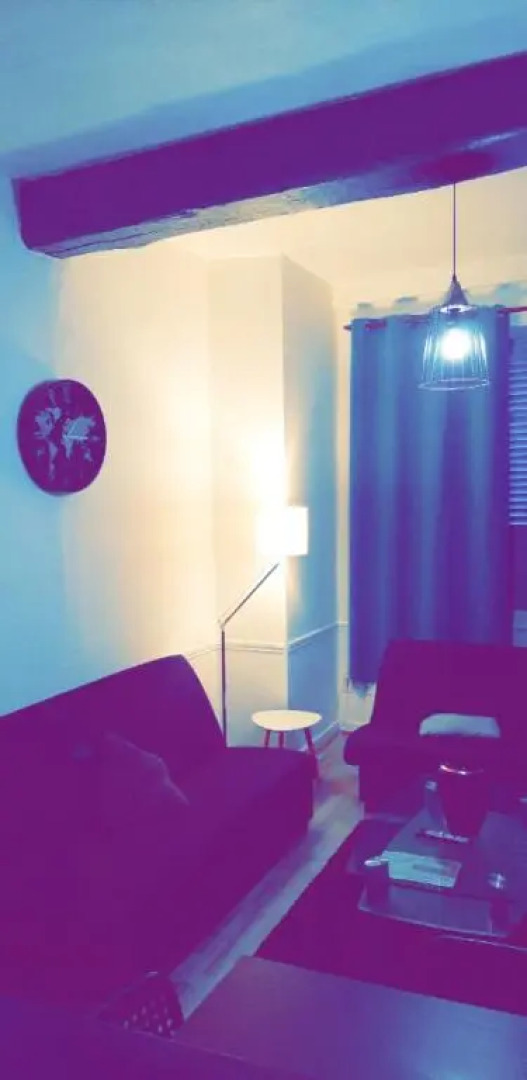 Appartement 48m2 pour 6 personnes au centre ville historique avec parking gratuit et une borne de recharge pour voiture à 10 metres