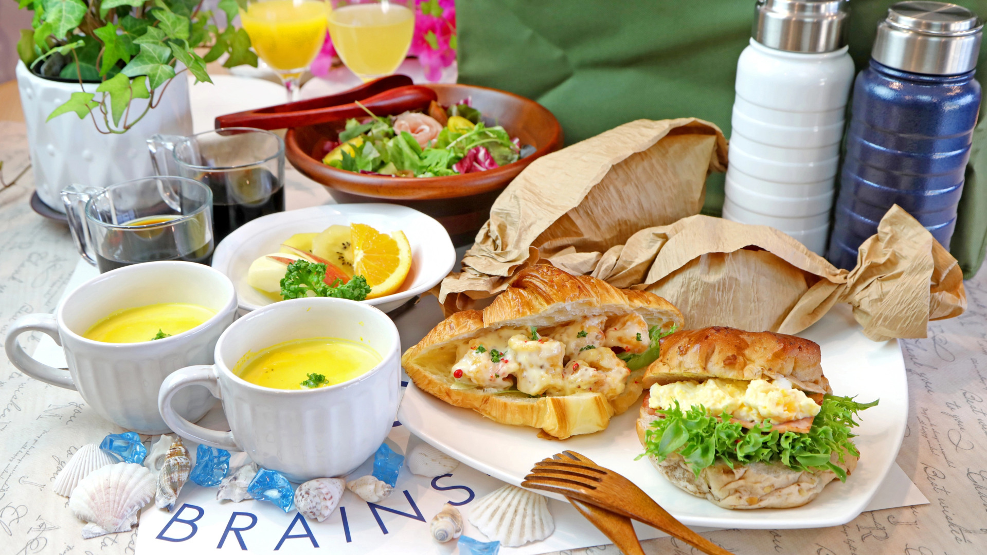 Pet Resort Brains Amakusa