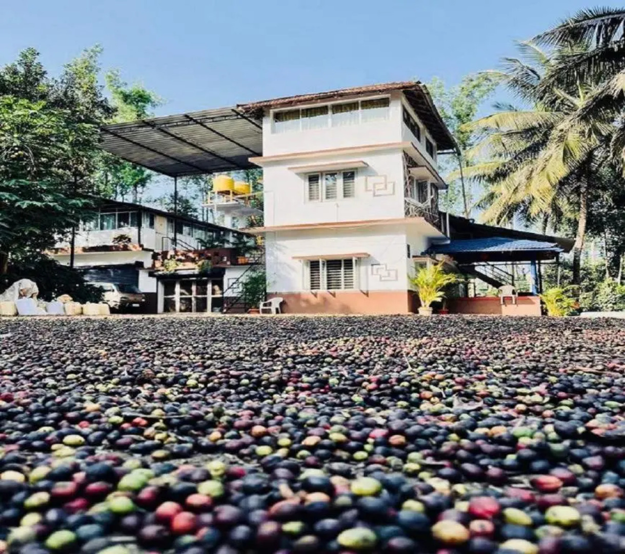 The Outback Coorg Estate by StayApart