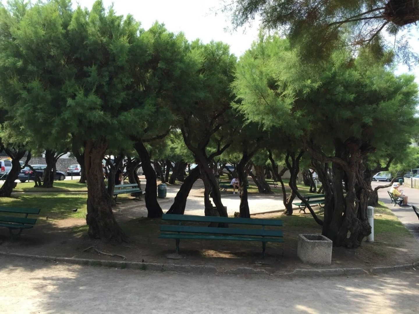 T2 45 M Near Coast Of The Basques