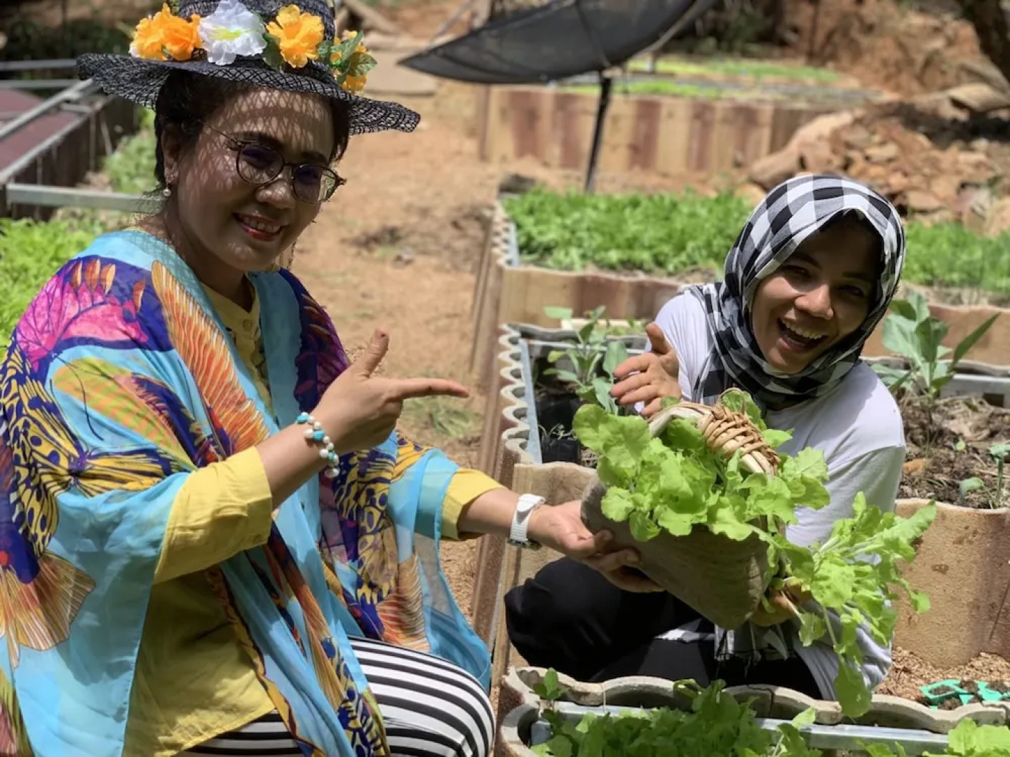 Kohjum Sea Beach Resort