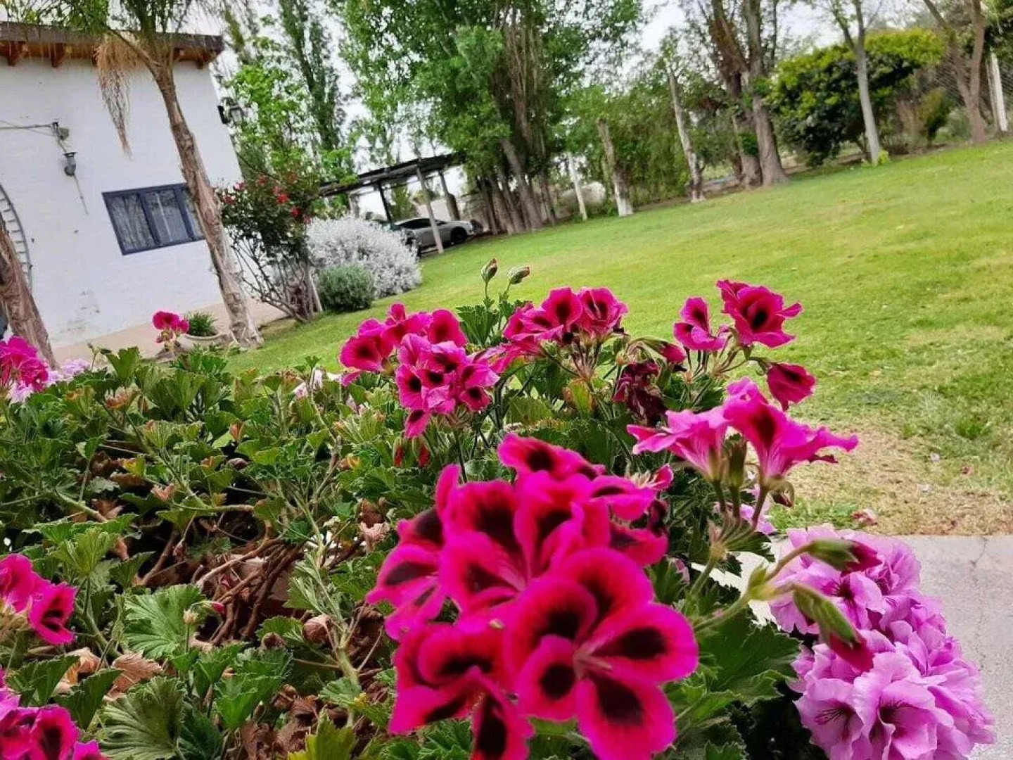 Apart Cabañas Olivos del Sol