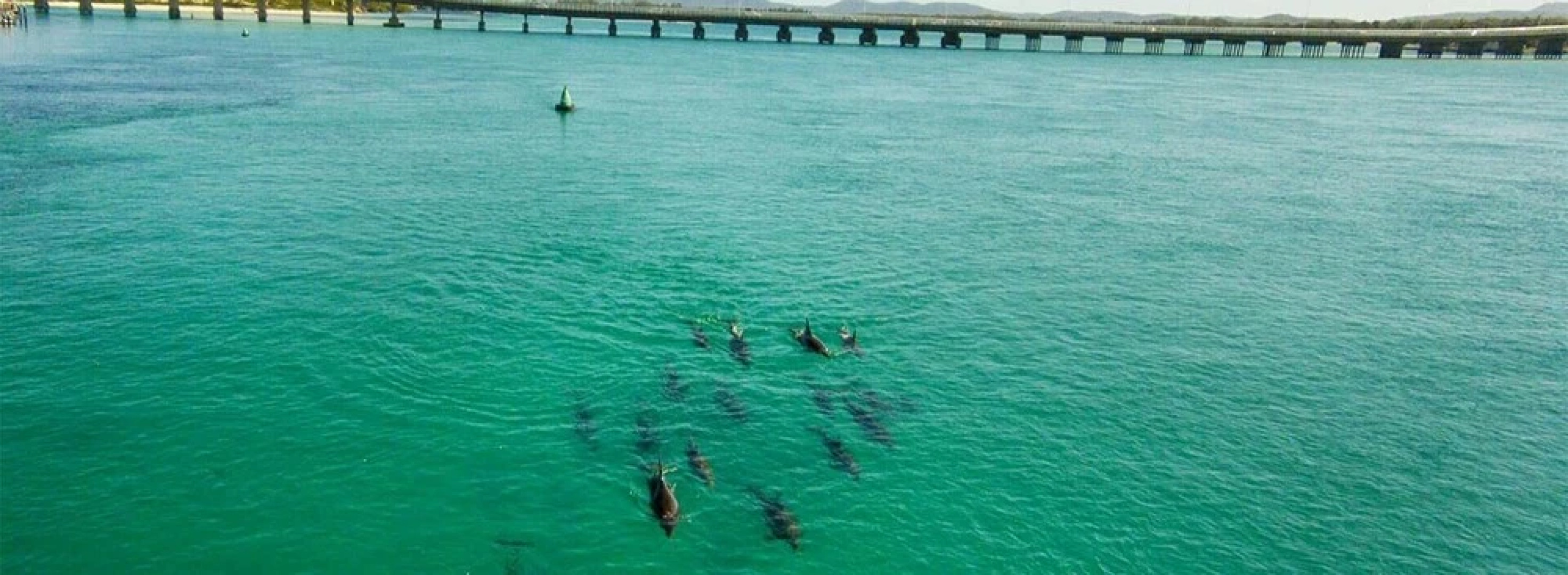 Forster and Wallis Lake Motel