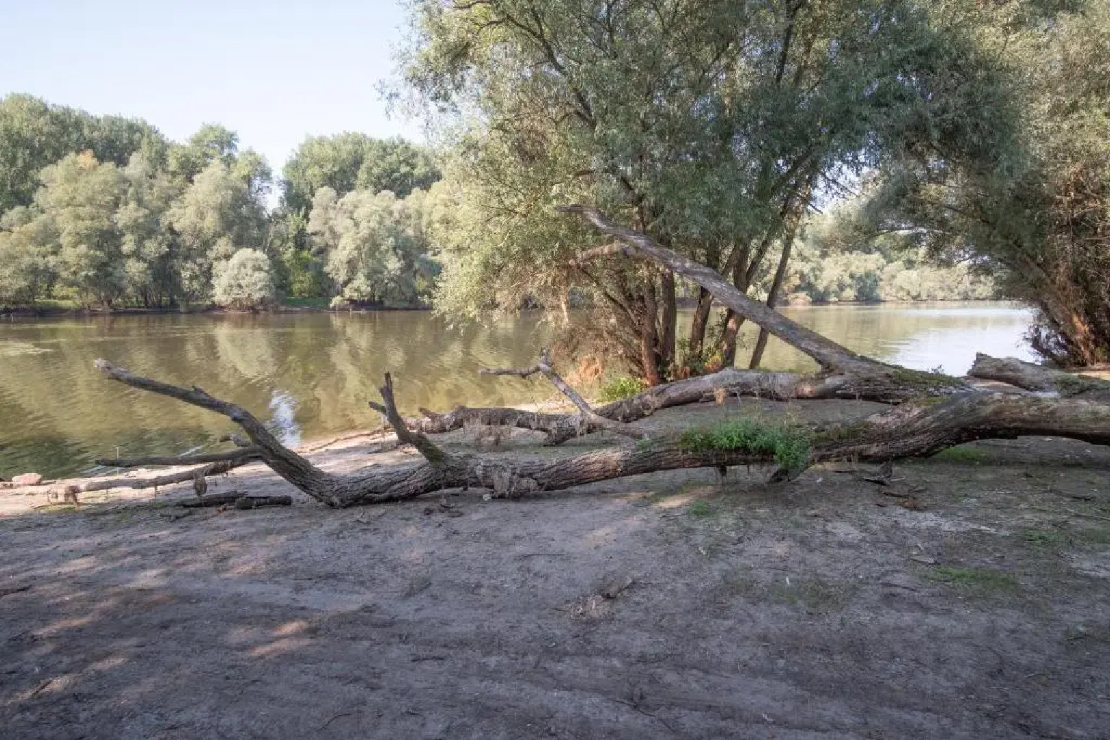 Schöne 2 Zimmerwohnung mit UHD-TV, großem Balkon und Hängematte