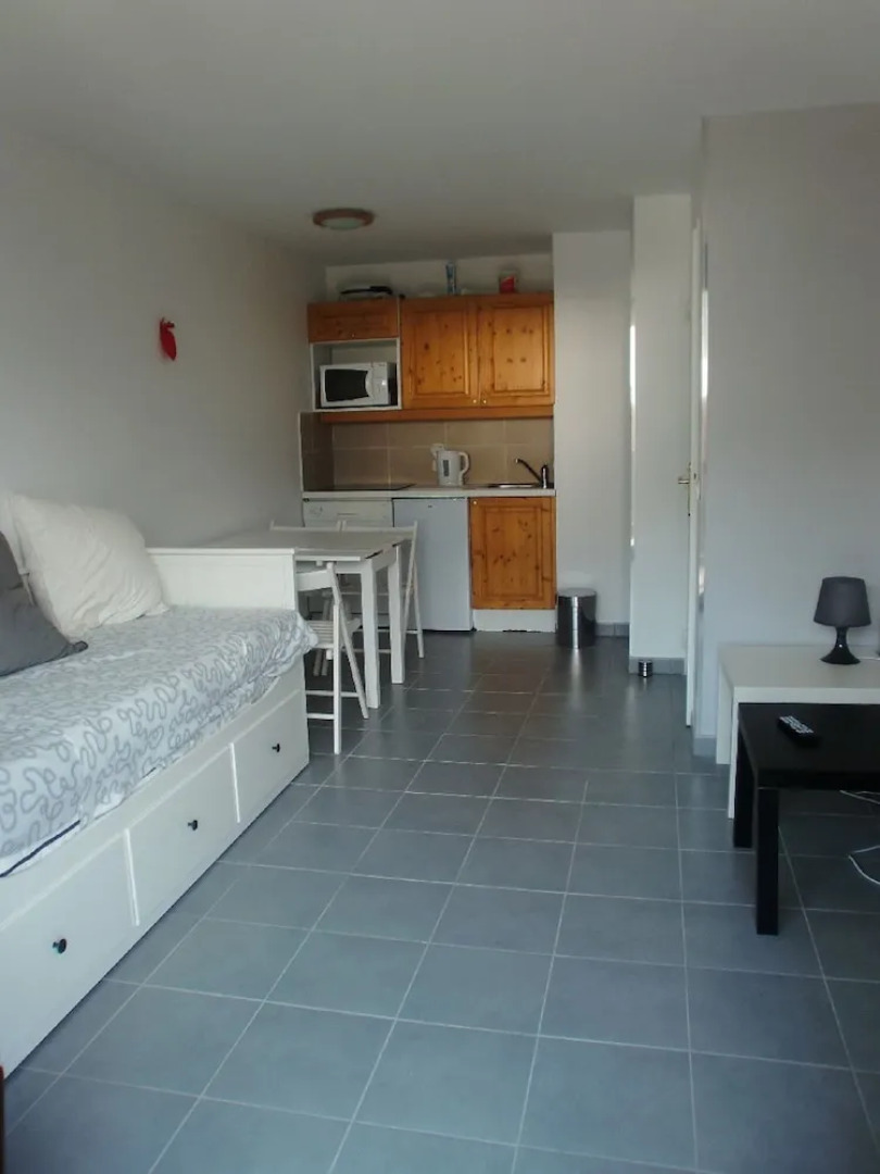 Appartement Cosy Sur Les Pistes