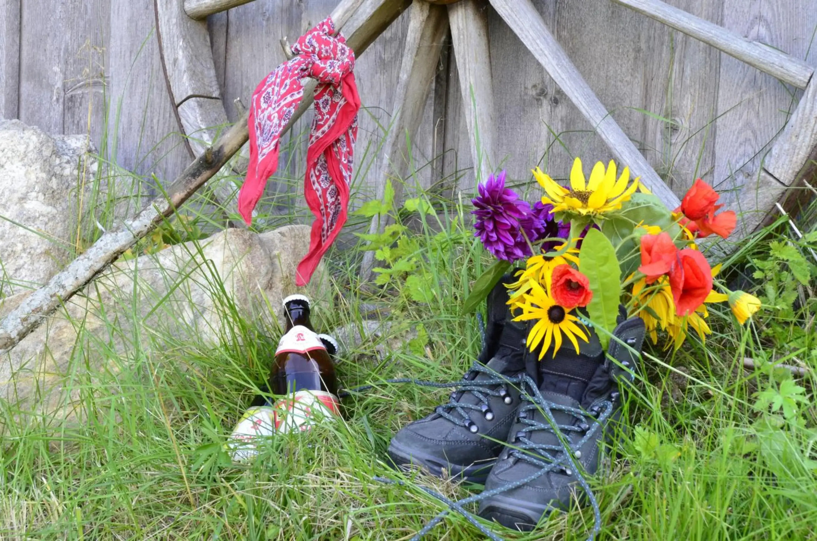 Pension Philippsreut "Zum Pfenniggeiger"