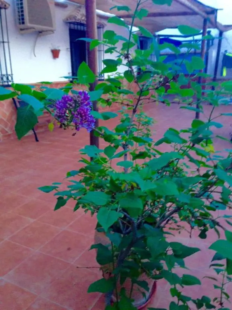 Casa Rural Antikaria