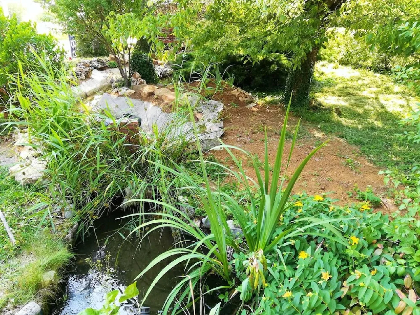 Apartment With 2 Bedrooms in Cormatin, With Wonderful City View, Shared Pool, Enclosed Garden