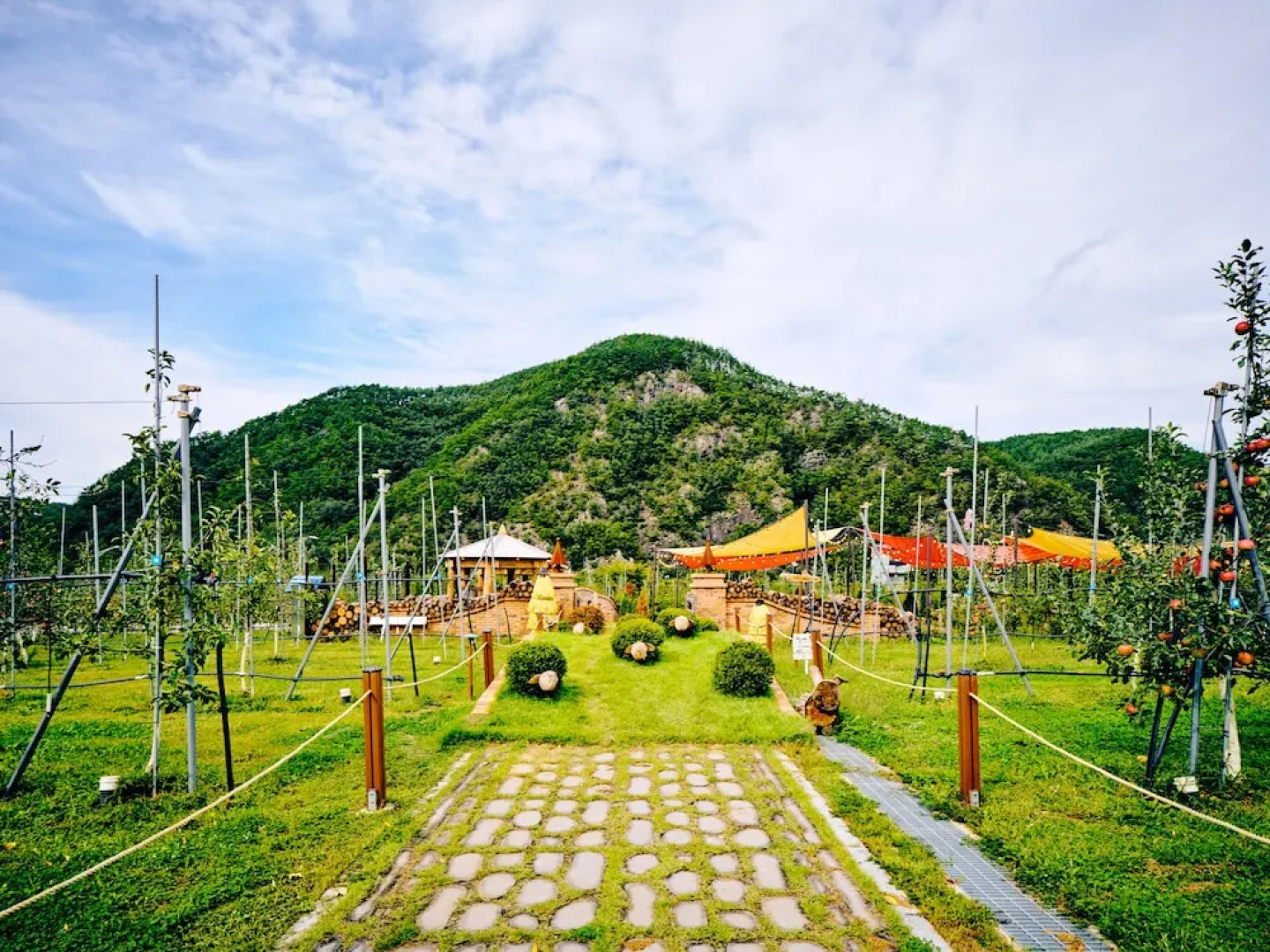 Sono Belle Cheongsong