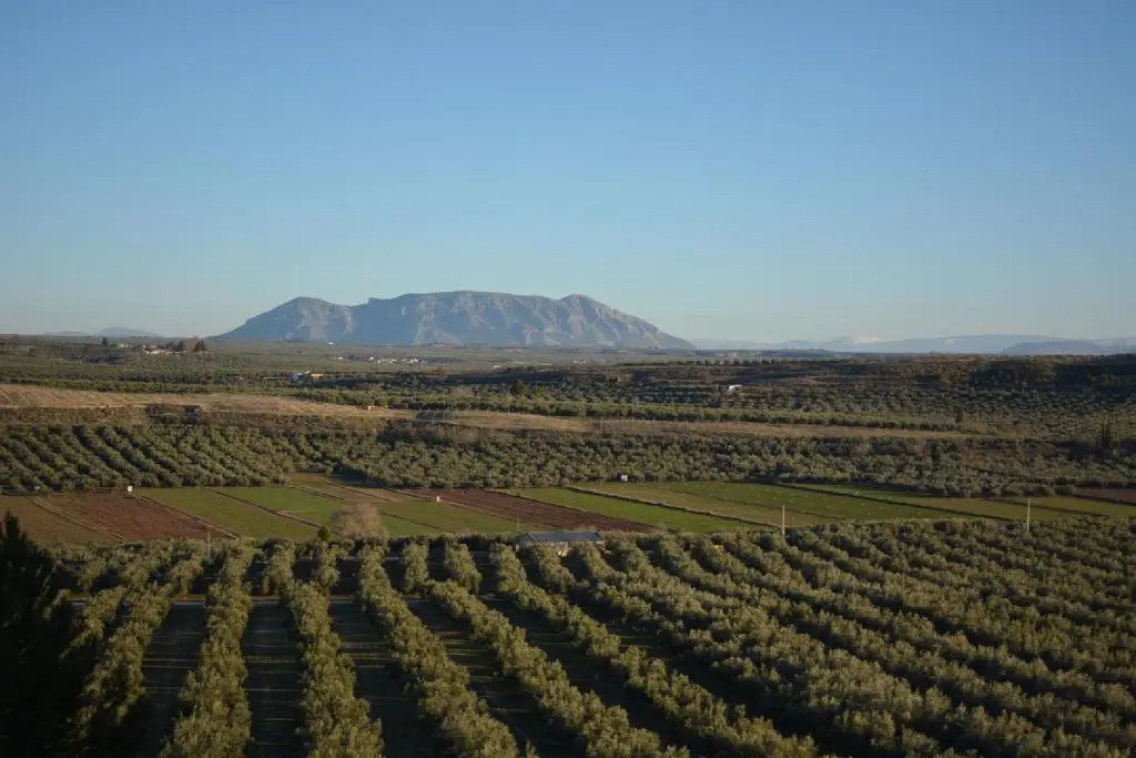 Casas Cuevas ElMirador