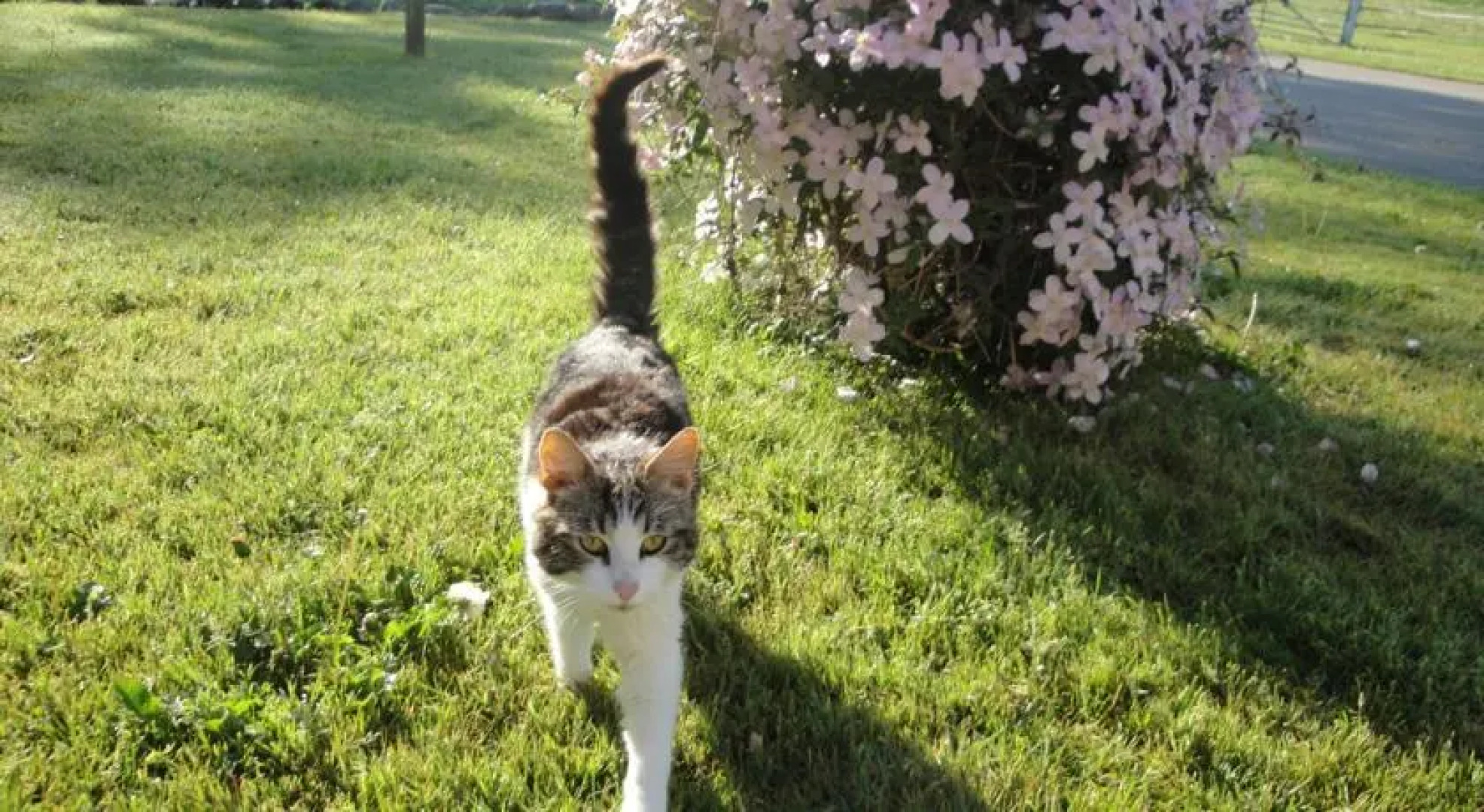 Hesselgaard Apartment