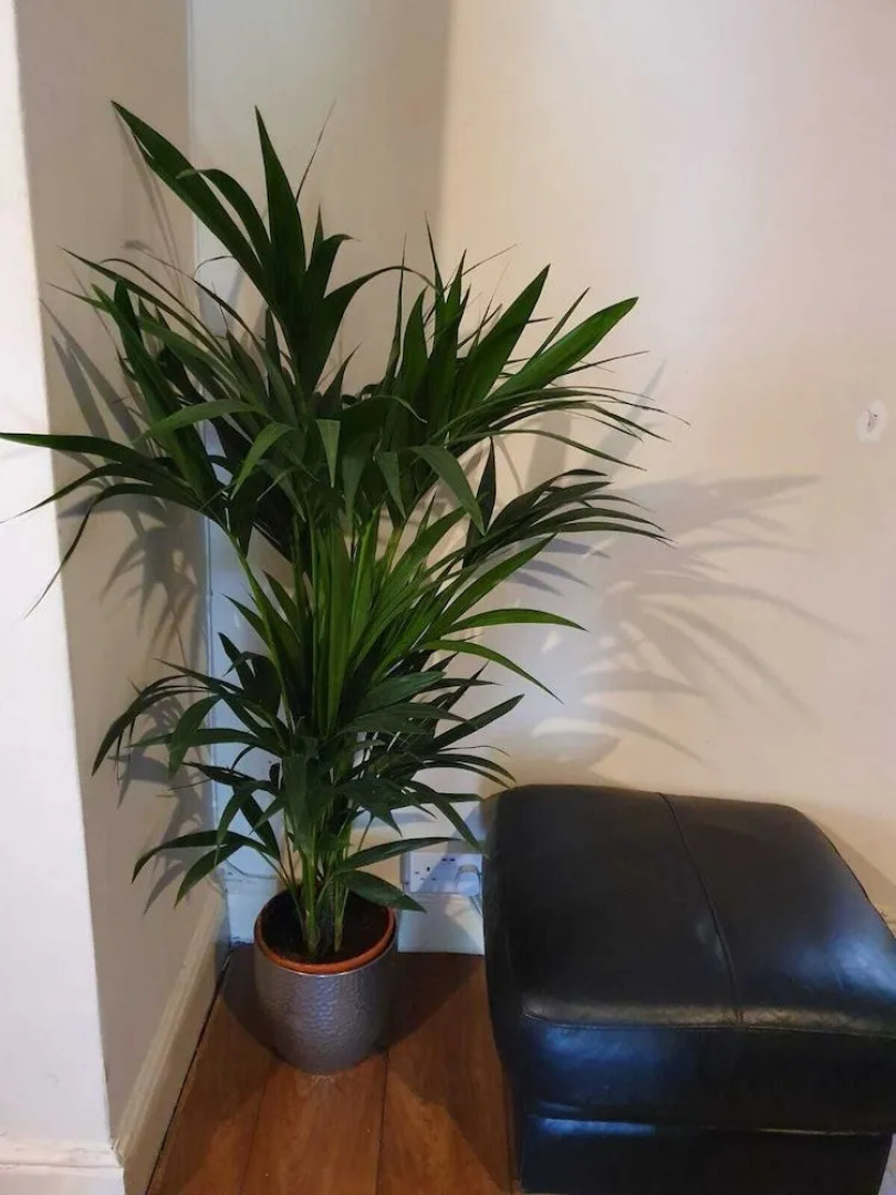 Chaps Guesthouse Southampton