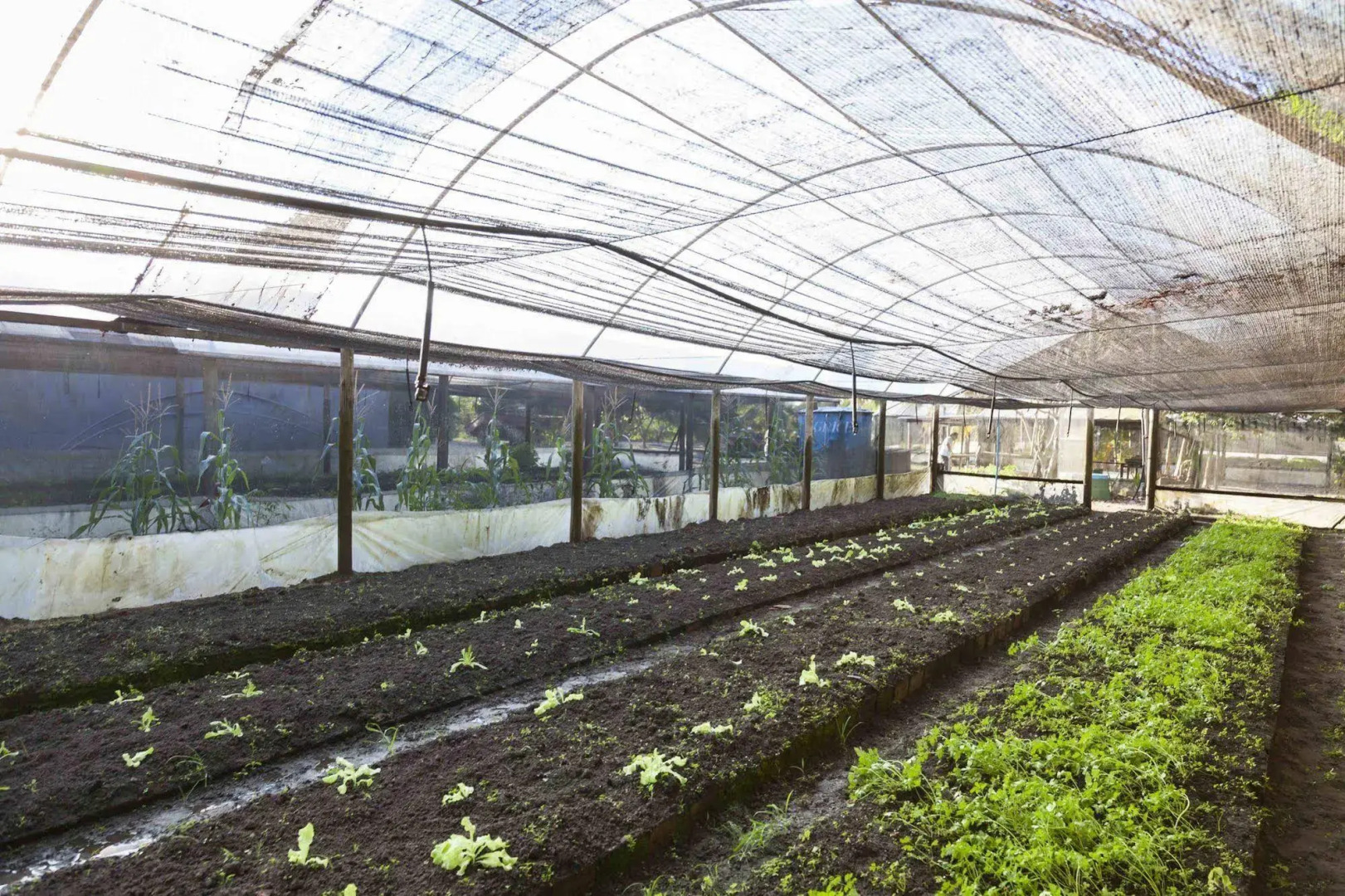 Pousada Terraços Marinhos