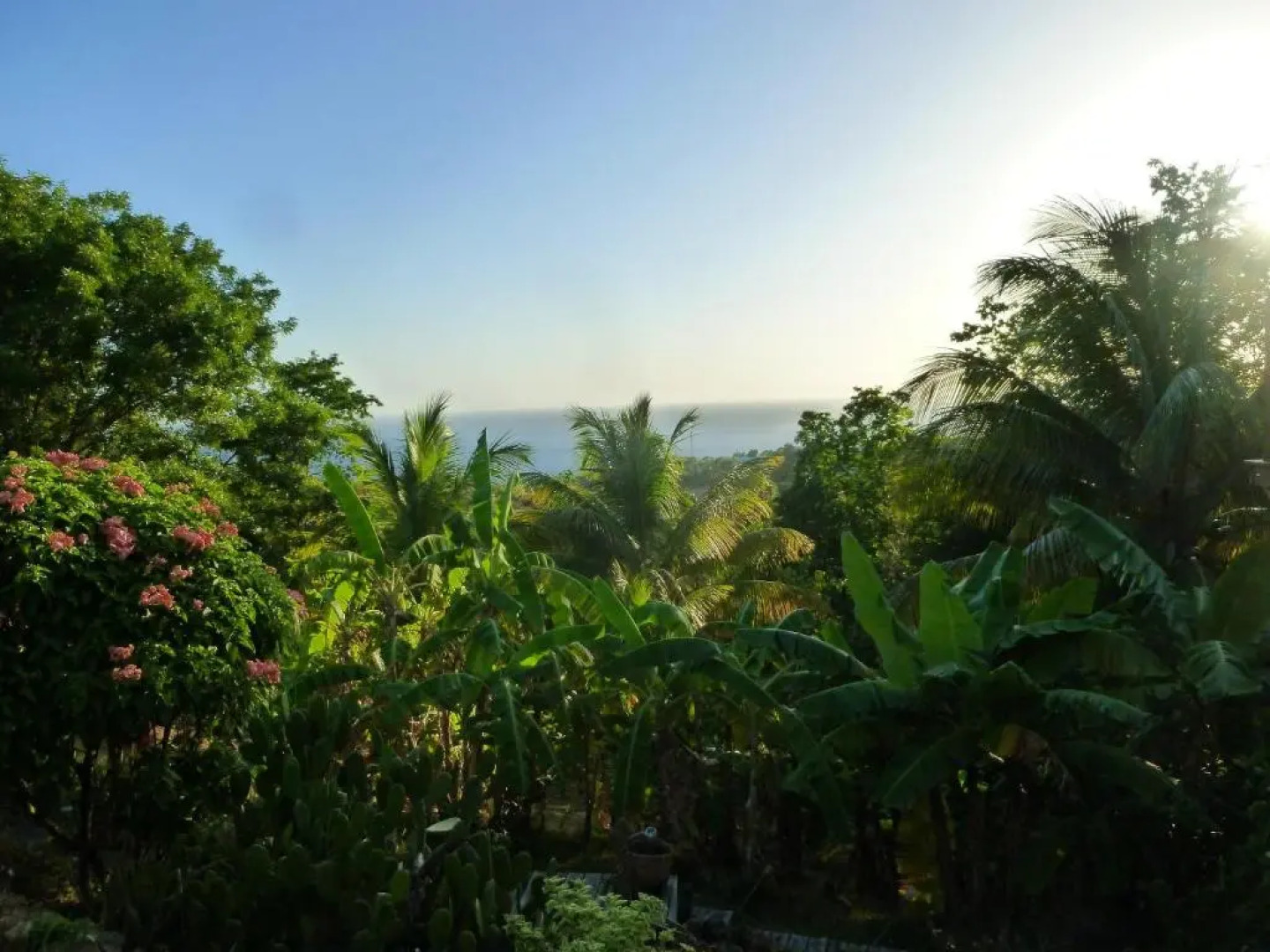 Les jardins de Cousinière