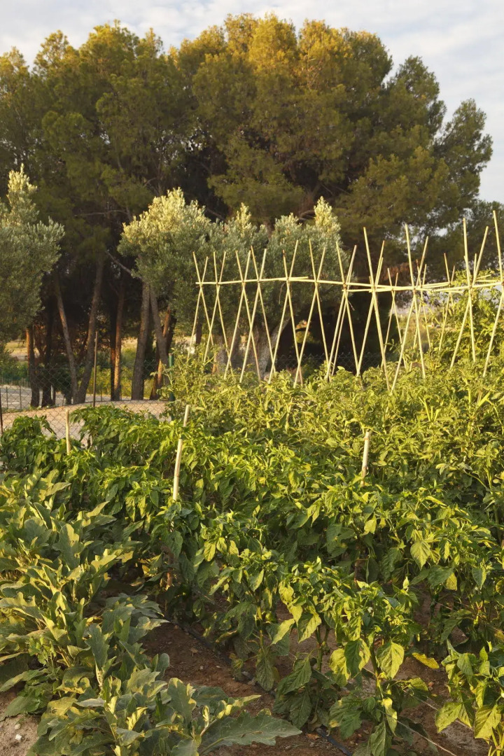 RuralSuite Hotel Apartamentos