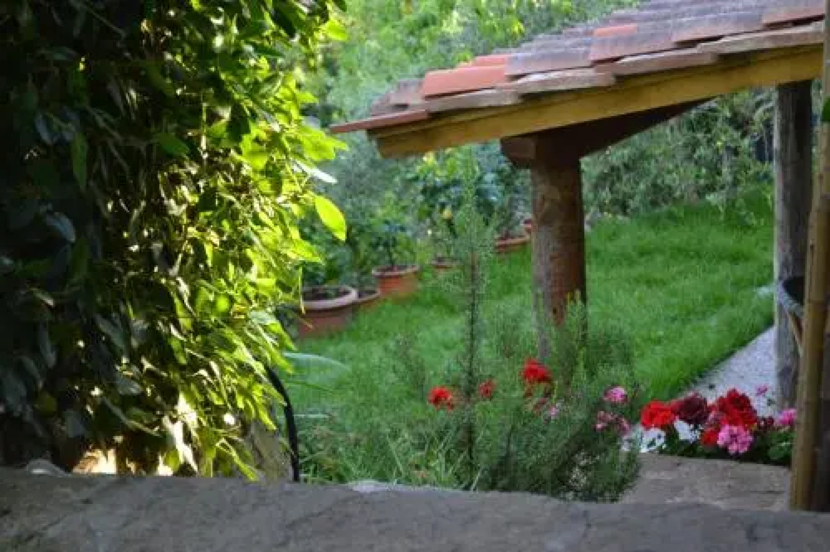 Appartamenti Le Masse